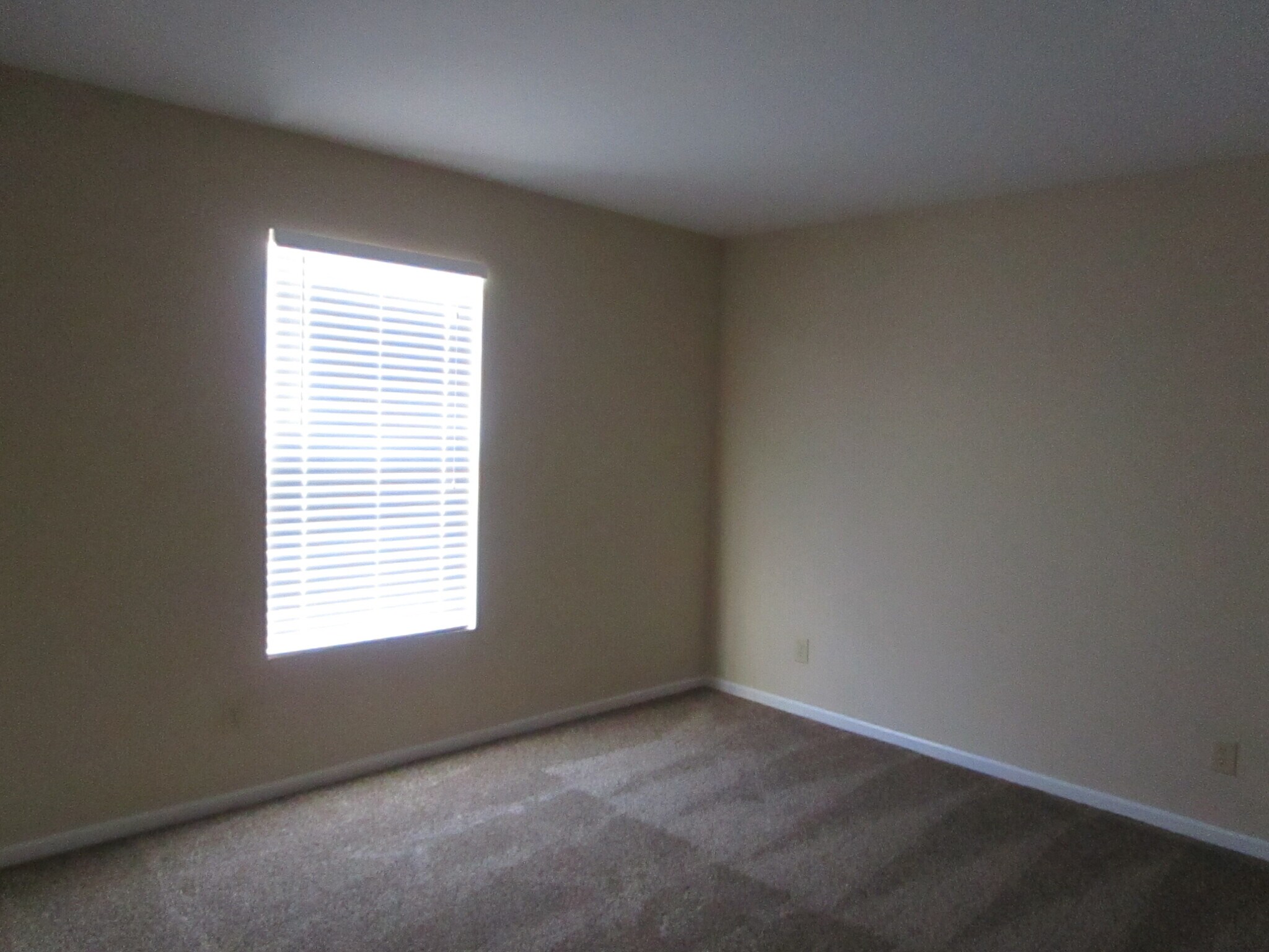 Building Photo - 2890 Sentiment Ln