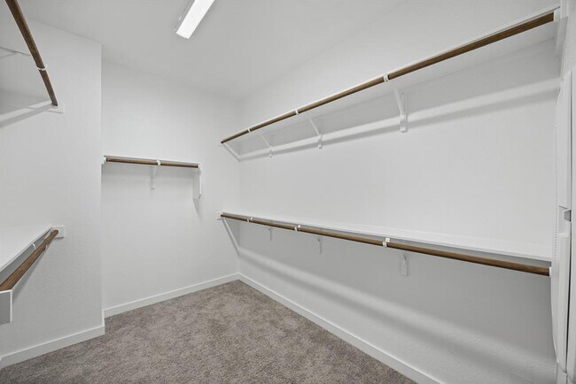 Building Photo - 12702 Autumn Bird Trce