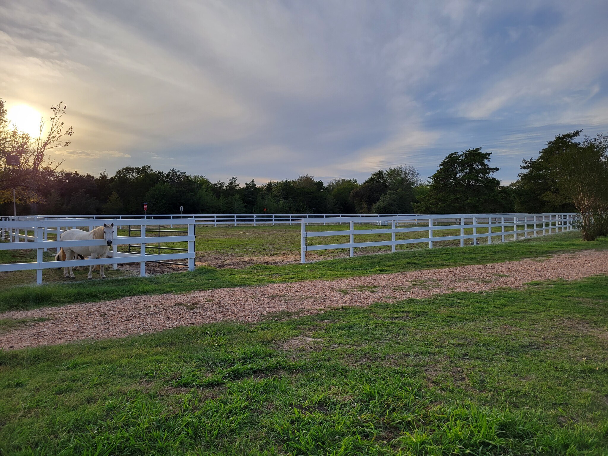 Paddocks available for boarding - 3162 E Fm 389
