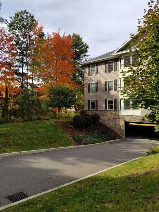 Building Photo - Top Floor with a View - 2 Bedroom/ 2 Bathr...