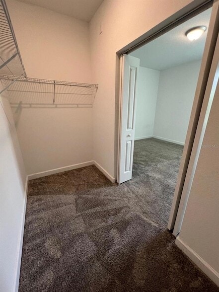 Building Photo - 2817 Camden Wy