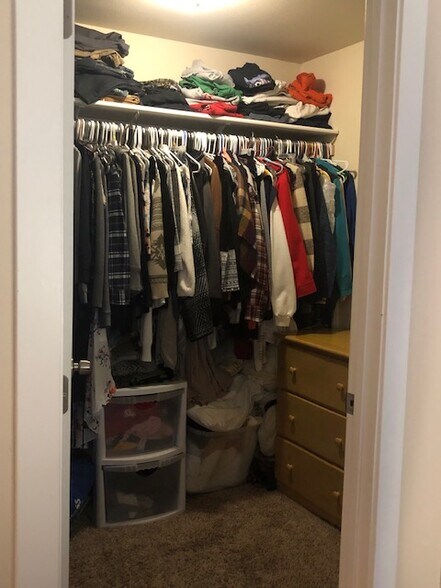 Large walk-in master closet. - 1220 W Bismark Ave