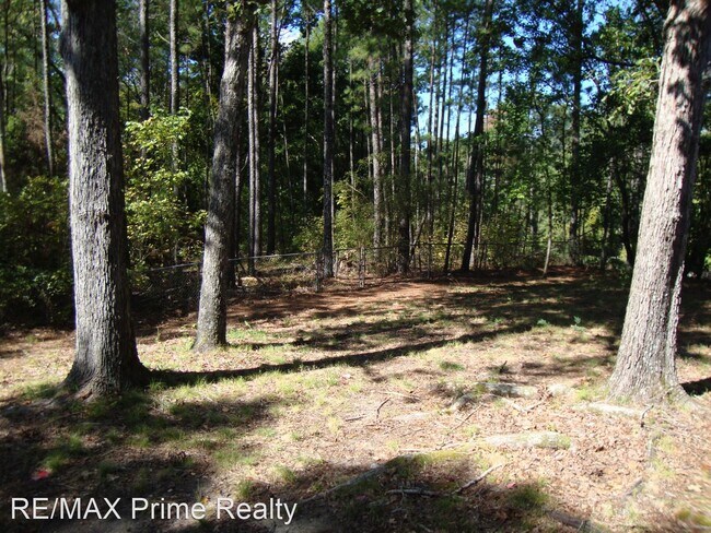 Building Photo - 2 br, 2 bath House - 636 Double Churches Road