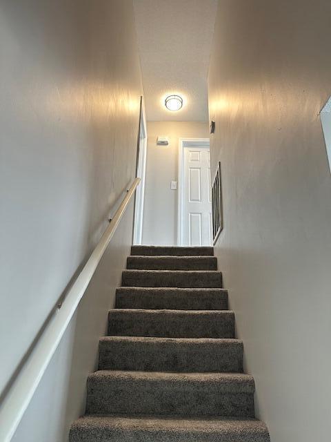 Building Photo - 3111 Holly Brook Cir