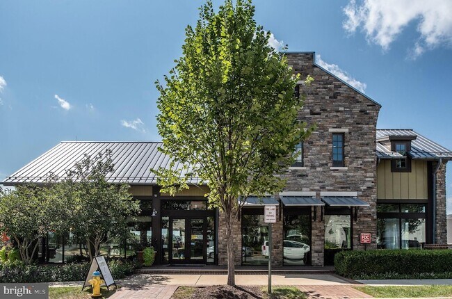 Building Photo - 547 Apricot St
