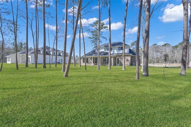 Building Photo - 28506 Tallow Rock Ln