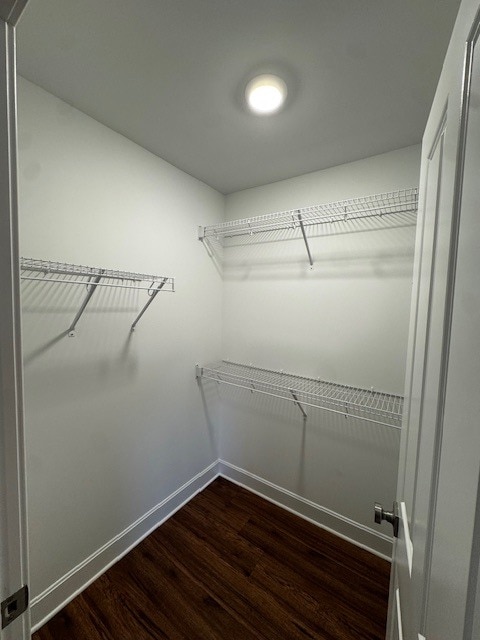 Building Photo - 818 Francis Pl