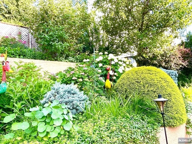 Building Photo - 10 Maitland Pl