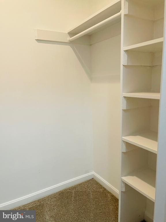 Building Photo - 4215 Mozart Brigade Ln