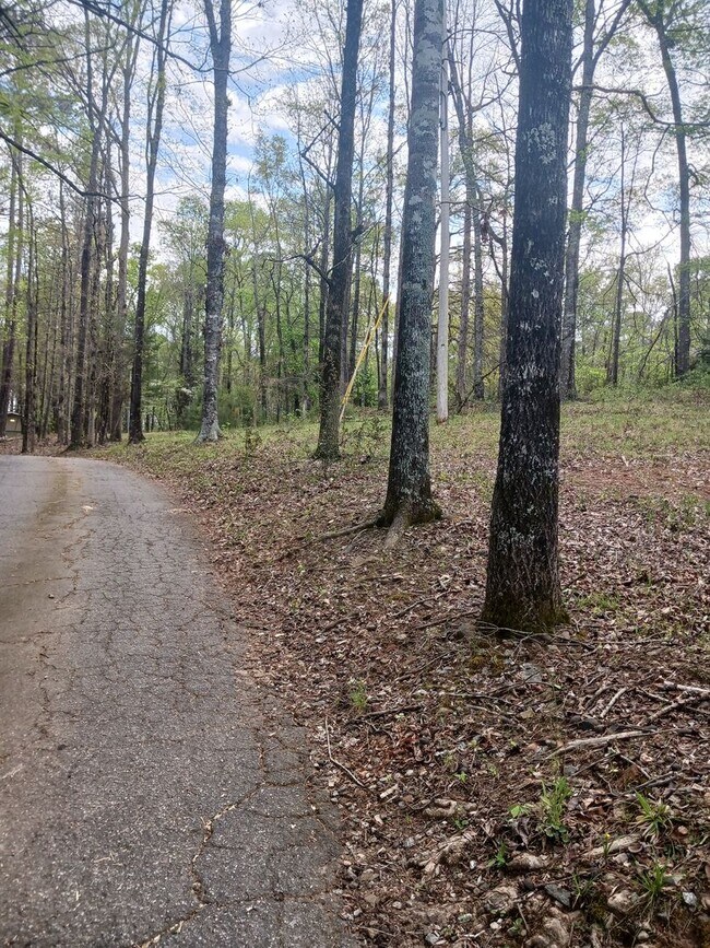 Building Photo - Charming 4BR/2.5BA Retreat on 2 Acres-Available Now!