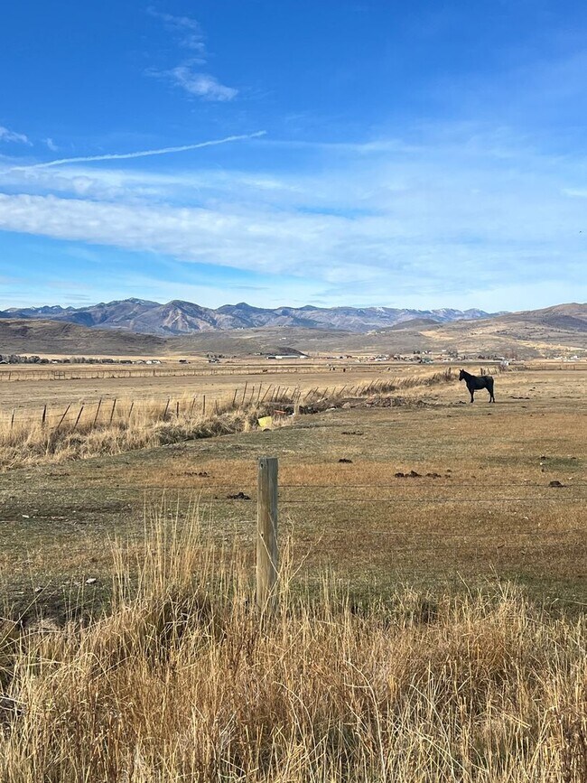 Building Photo - Kamas Cutie