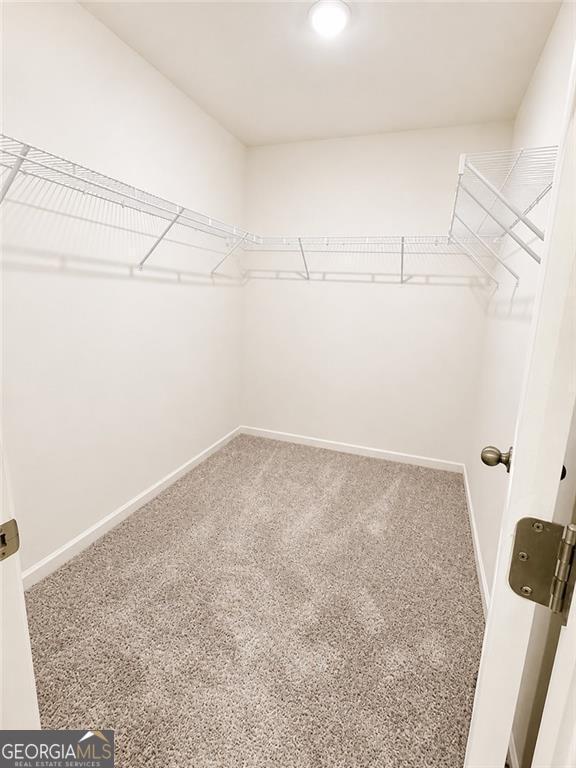 Building Photo - 64 Padley Dr
