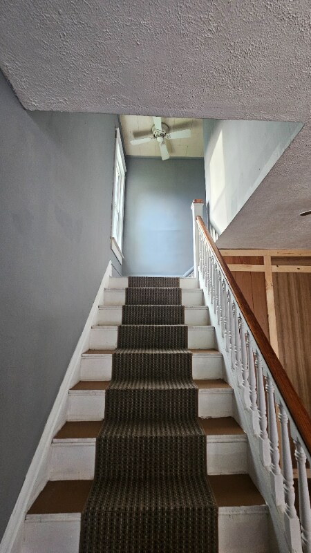 Building Photo - 361 Fort St