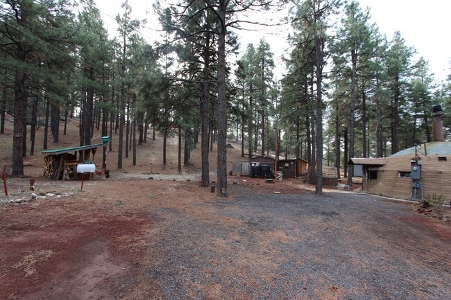 Building Photo - Unique Dome-Shaped Studio Surrounded by Ponderosa Pines With MOVE-IN Special! $300 off 1st month