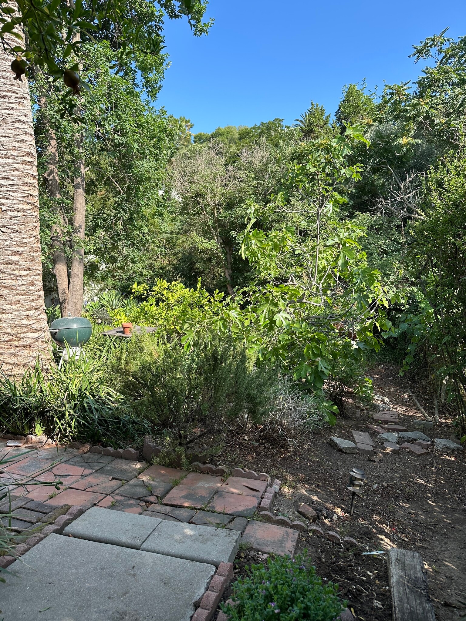 Building Photo - 4933 Aldama St