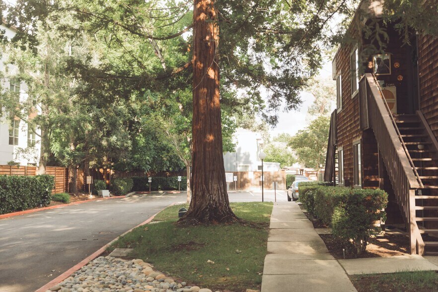 Building Photo - 1173 Honey Trl