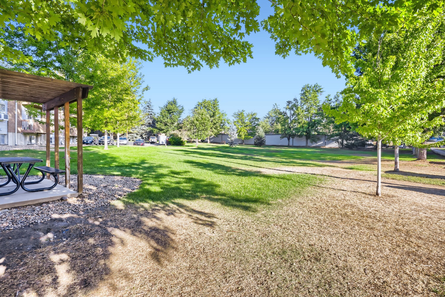 Building Photo - 1606 Cottonwood Dr