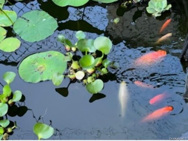 Building Photo - 35 Hicks Ave