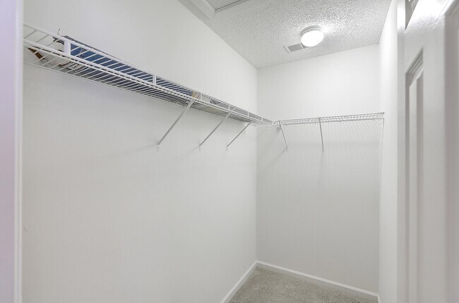 Building Photo - 8074 Shadow Oak Dr