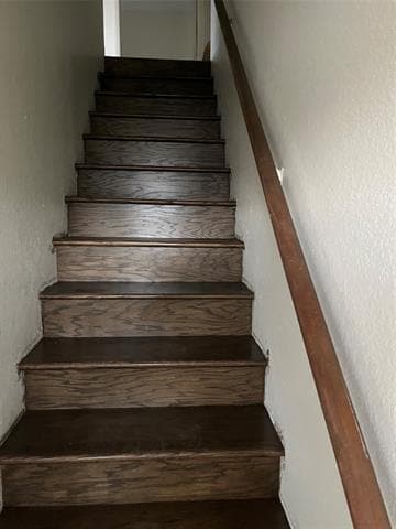 Building Photo - 803 Bluebonnet Dr