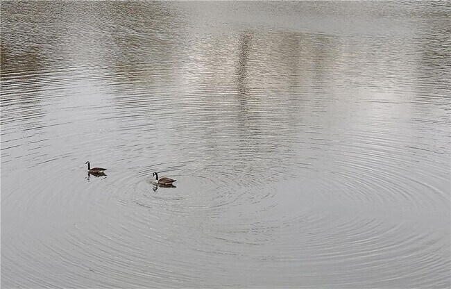 Building Photo - 40 Glenald Way NW