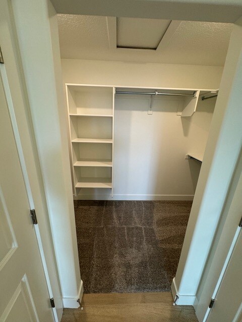 Building Photo - 3757 Big Horn Dr