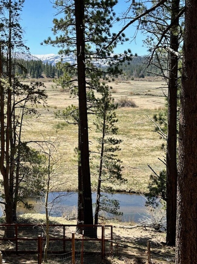 Building Photo - Warm & Inviting Cabin on the Meadow Avail. rental for 6-7 people!! Available starting 8/15/26!! C...