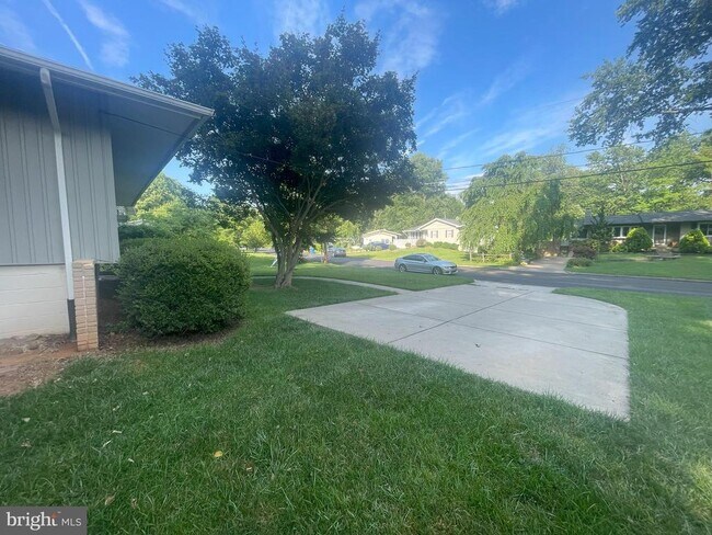 Building Photo - 4304 San Carlos Dr