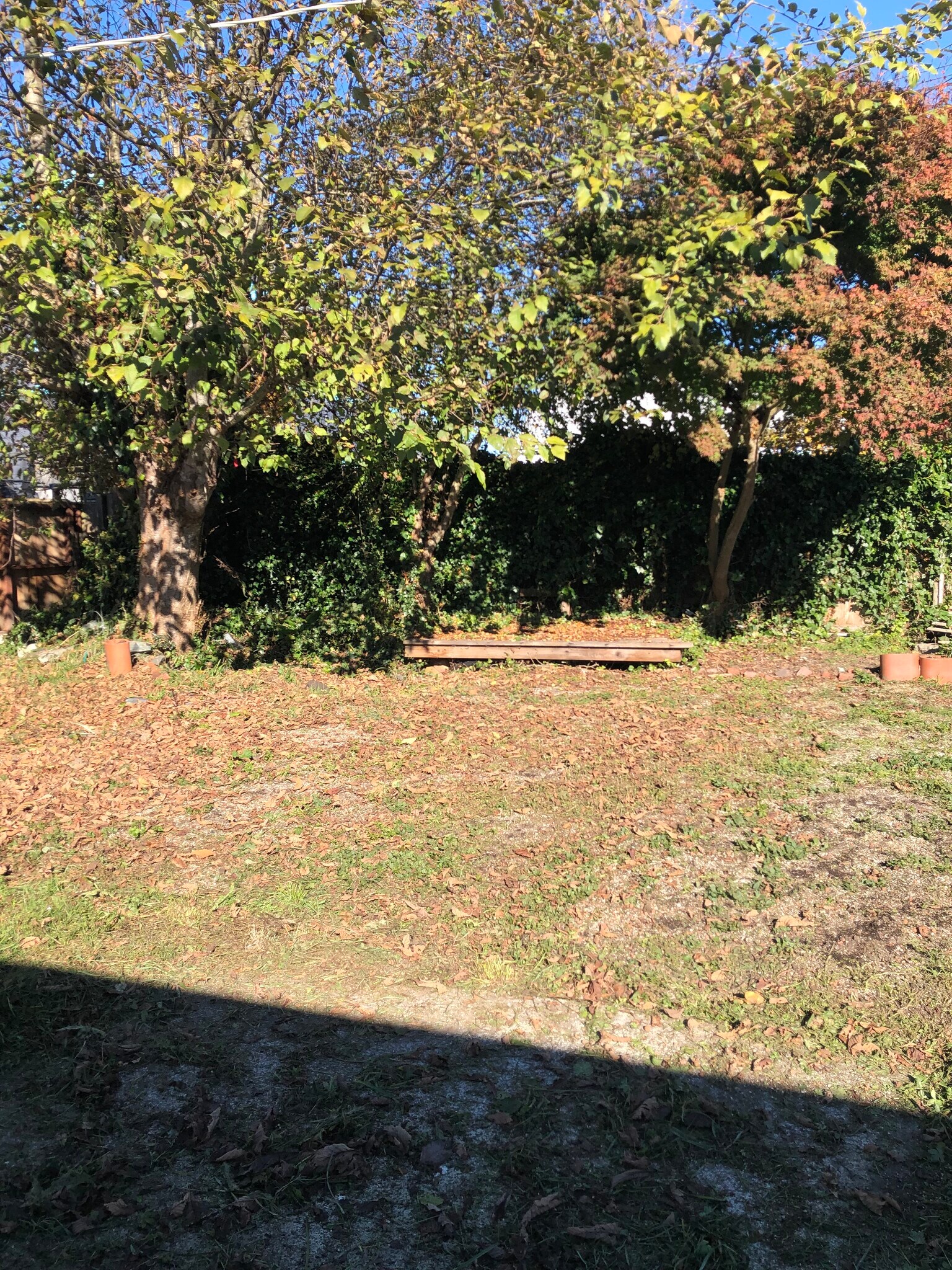 big fenced yard - 1788 Blakeslee Ave