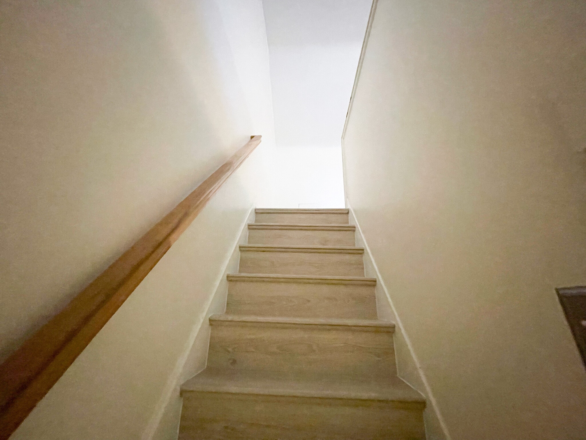 Building Photo - 1041 Mirror St