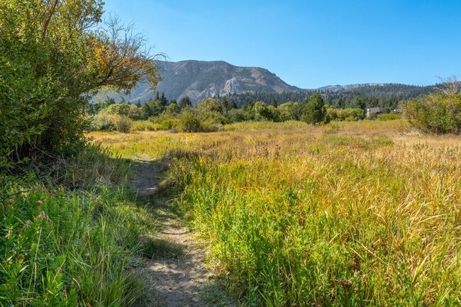 Building Photo - Spacious Snowcreek III Condo – Winter Rental