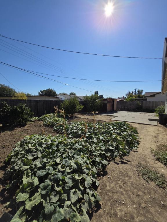 Building Photo - 567 San Dimas St