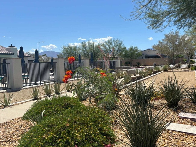 Building Photo - Stylish 2-Bedroom Oasis Domani, Residents ...