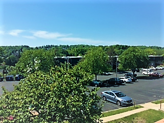 View from the living room - 3531 Forest Lane