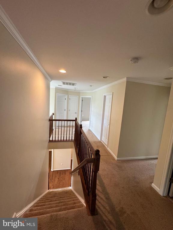 Building Photo - 24877 Myers Glen Pl