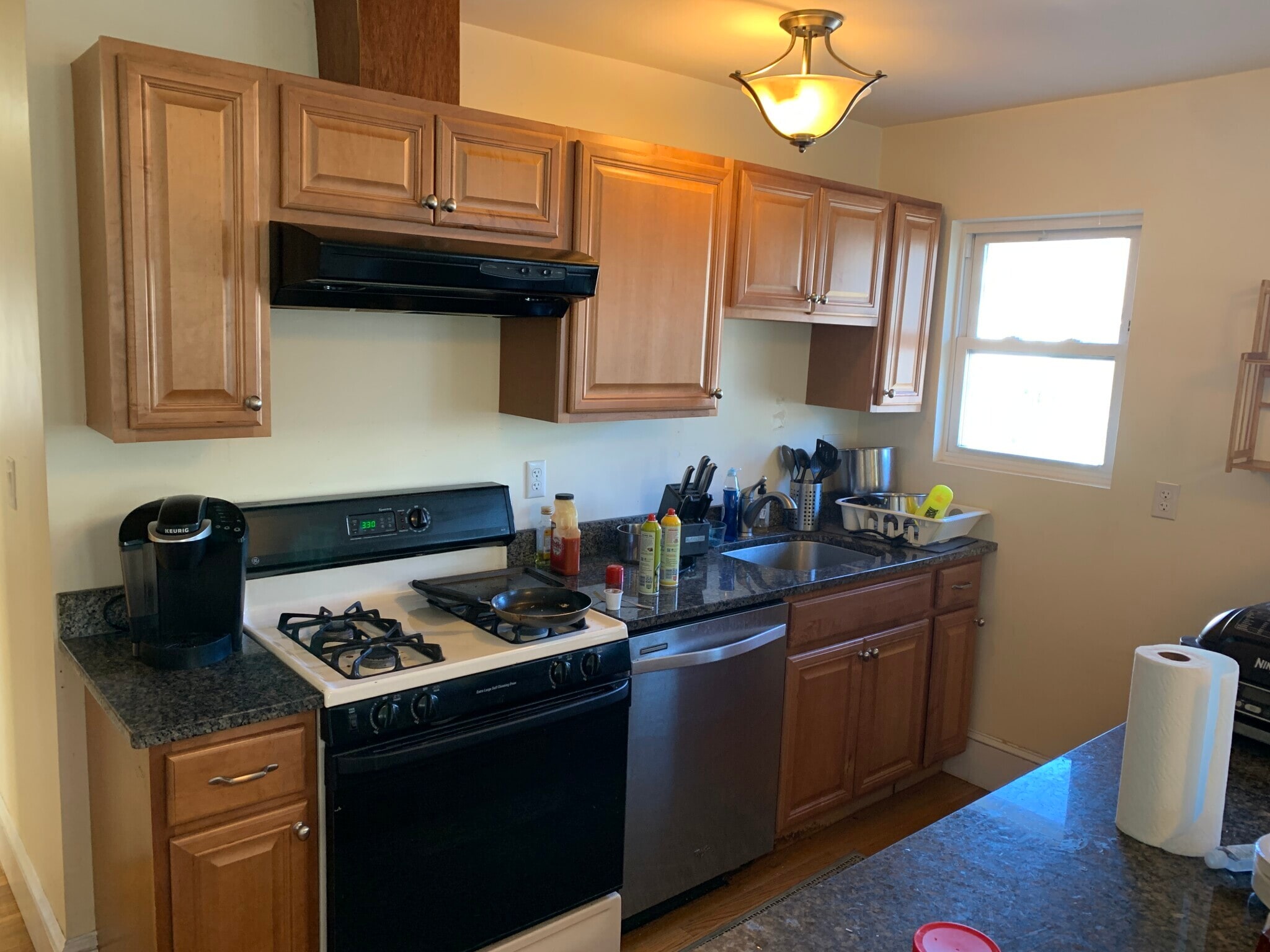 Building Photo - 7 Donnybrook Rd