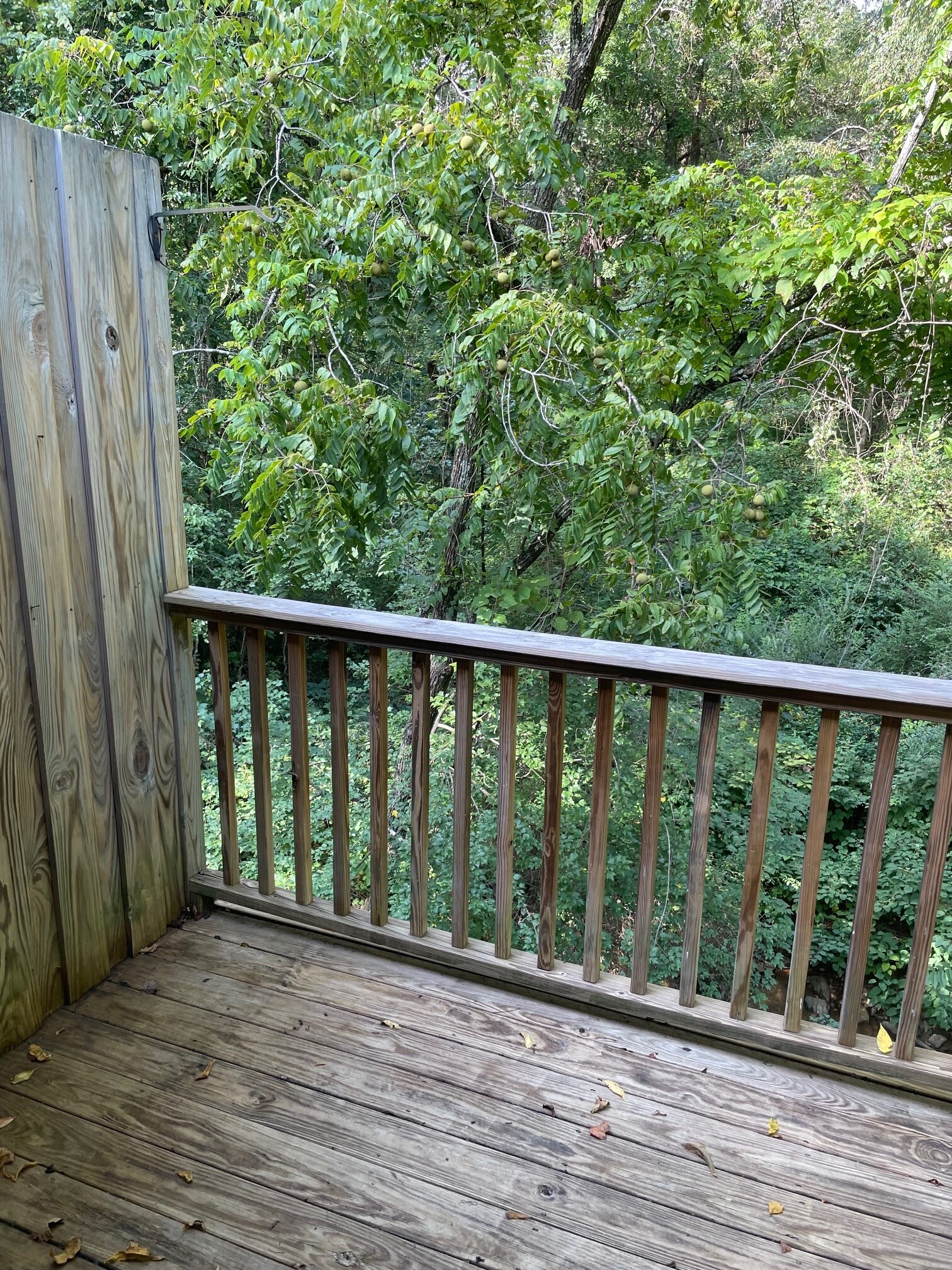 Deck View - 222 New Stock Rd