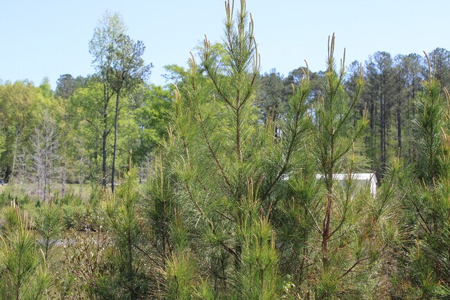 Building Photo - 818 W Grantville Rd