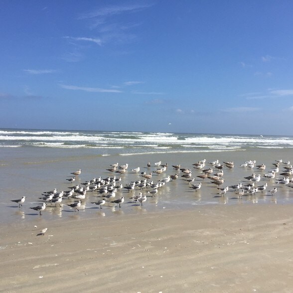 walk to beach - 3800 Saxon Dr