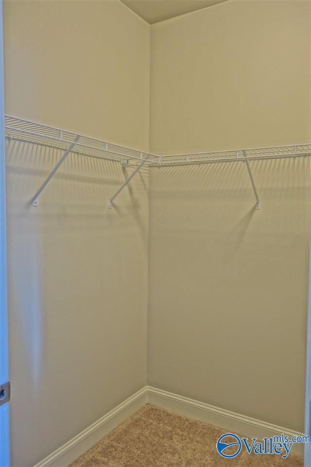 Building Photo - 409 Bay Tree Ln SW