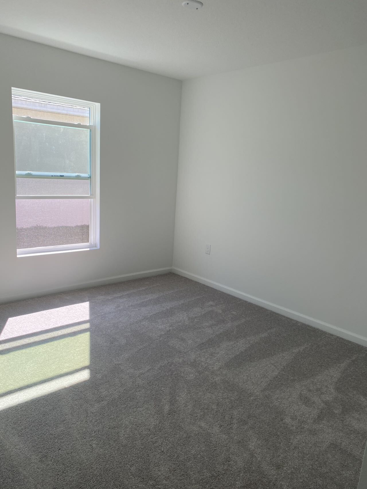 Building Photo - 1347 Belle Isle Ln