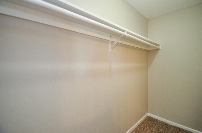 Building Photo - 718 Pine Lodge Dr