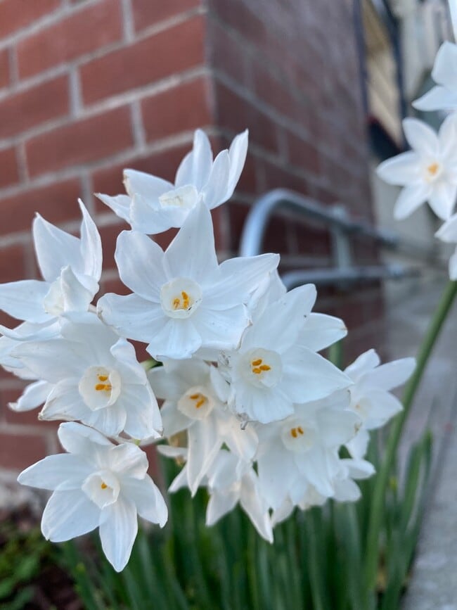 Building Photo - 2345 Fulton St