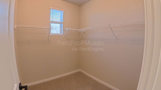 Building Photo - 776 Nob Hl Ln