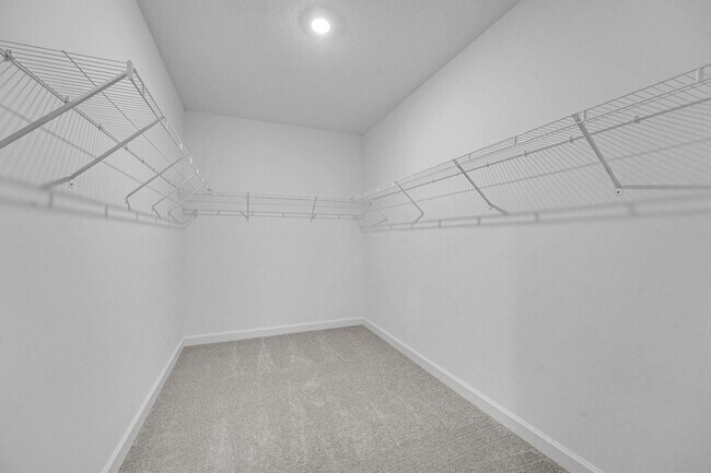 Building Photo - 3492 Cedar Grv Dr