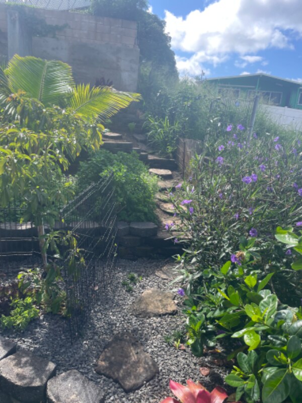 Building Photo - 94-361-361 Kahuanani St