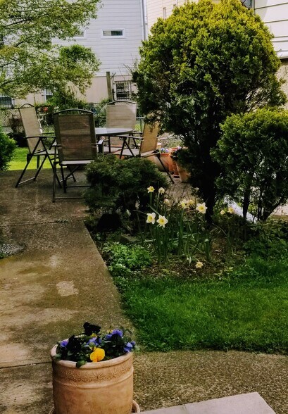 outside patio - 37 Grant St