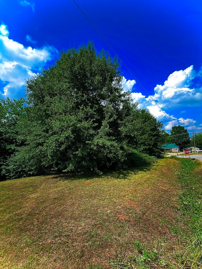 Building Photo - 367 E Reedy Fork Rd