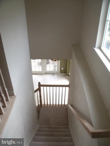 Building Photo - 13014 Shamrock Glen Dr