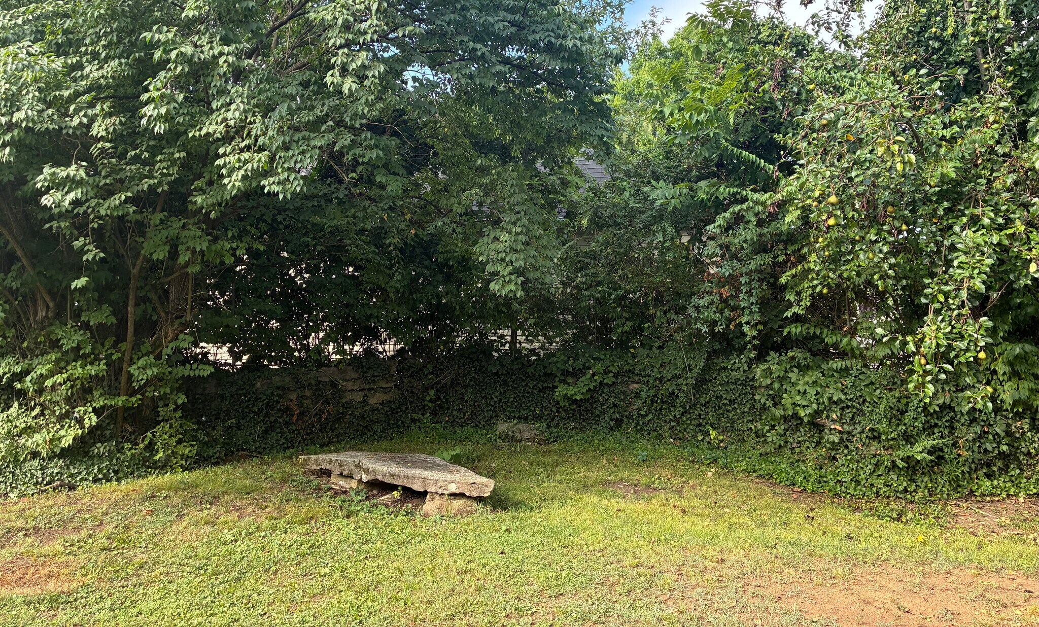 Huge wooded lot, almost 1/2 and acre - 560 Neelys Bend Rd